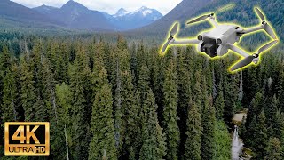 Engelmann Spruce  Subalpine Fir Forest ESSFdh2  4K Drone Flythrough [upl. by Fredek]