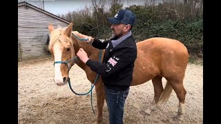 How to Make a Halter and Lead Rope for Schleich Horses [upl. by Akenit662]