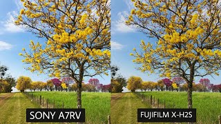 Sony A7RV Vs Fujifilm XH2S  Camera Test [upl. by Appledorf]