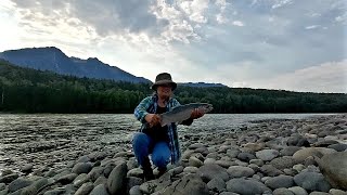 Last Year Salmon Fishing at Skeena River  BC Canada  Part  1 [upl. by Weidar]