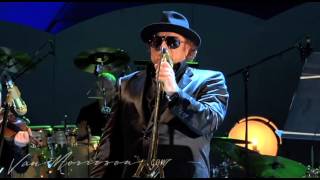 Van Morrison  The Way Young Lovers Do live at the Hollywood Bowl 2008 [upl. by Andel942]