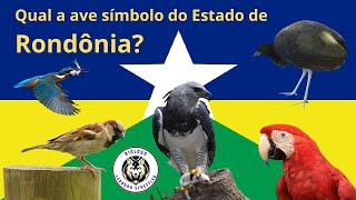 Qual é a Ave Símbolo do Estado de Rondônia  🦆🦜 educaçãoambiental [upl. by Sundberg797]