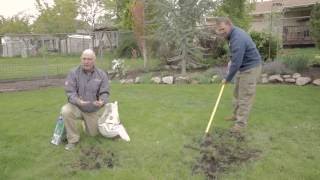 How to Reseed a Lawn [upl. by Kletter]