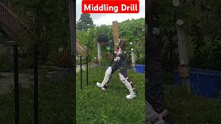 Middling Batting Drillcricket Drillshorts viralshort ytshorts Raiyan Cricket Studio [upl. by Stier]