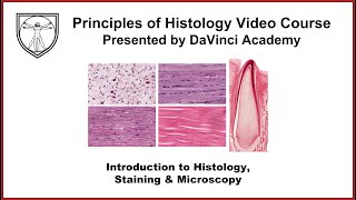 Introduction to Histology Staining and Microscopy [upl. by Harve]