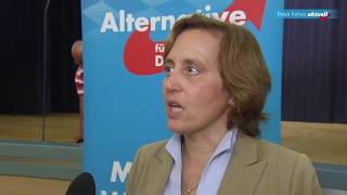 Beatrix von Storch AfD  Interview mit Peter Felser zum Netzwerkdurchsetzungsgesetz [upl. by Thanasi]