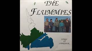 The Flummies  45 Miles From Goose Bay 1988 [upl. by Nwahsek]