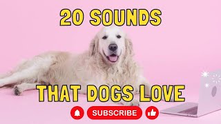 20 Sounds that Dogs Love [upl. by Somisareg]