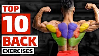 Top Trainers Agree These are the 10 Best Exercises for Building a Bigger Back [upl. by Neelram888]