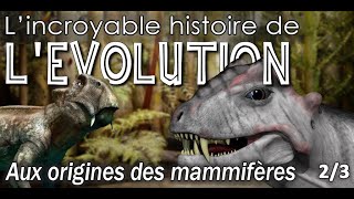 Aux origines des mammifères  23  Les Thérapsides  Paléontologie  Feat Julien dEntracte science [upl. by Pare]