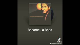 Besame en la boca  Ricardo Montaner  cover [upl. by Morganstein]