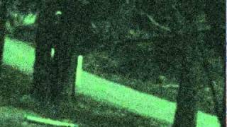 Strange Alien Sticklike creatures caught on security camera above Fresno in Yosemite National Park [upl. by Geri]