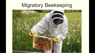 Migratory beekeeping [upl. by Riplex]