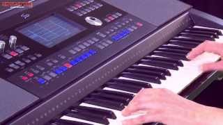 FAME G2000 Keyboard Demonstration [upl. by Biegel523]