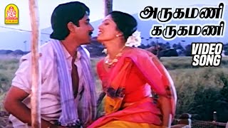 Coimbatore Mappillai Tamil Movie Songs  Back to Back Jukebox  Vijay  Sanghavi  Vidyasagar [upl. by Japeth]