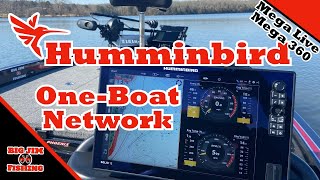 My Humminbird Network [upl. by Thaddaus]