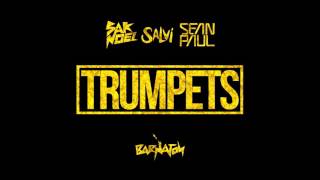 Sak Noel amp Salvi ft Sean Paul  Trumpets Official Audio [upl. by Hausmann84]