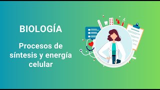 6 Procesos de síntesis y energía celular [upl. by Florry]