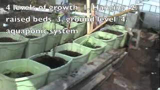 Aquaponic Garden  Do aquaponics yourself and do it without spending much from Cornucopia Project [upl. by Joerg]