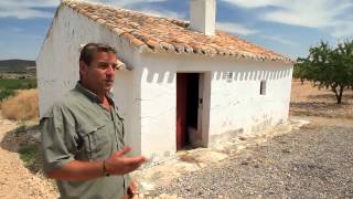 La historia de Casa Castillo Jumilla  Todovinocom [upl. by Obed]