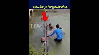 ఆవు నీళ్ళలో కొట్టుకుపోతోంది shorts ytshorts telugu humanity animals animal water help [upl. by Lrub107]