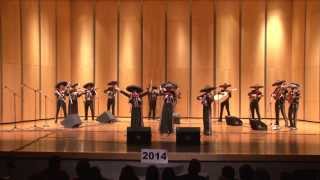 2014 Texas State High School Mariachi Competition Rio Grande City HS [upl. by Tak]