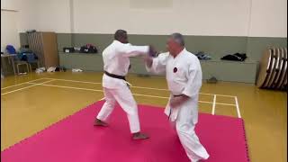 Saifa Kata bunkai martialarts dojo gojuryu iogkf mma iamiogkf karate kata bunkai [upl. by Hgielanna]