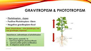 O Level Biology 5090 Coordination and Response in Plants [upl. by Jerusalem]