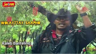 Wolayttay Sapho  Kaleb Bentelino  New Ethiopian Wolaita Music 2023 Official Video [upl. by Kata]