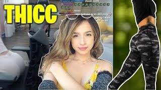 Pokimane Best THICC Moments 2019 [upl. by Ede850]