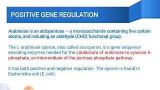 Arabinose operon [upl. by Yerahcaz]