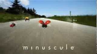 Minuscule  Spot TV [upl. by Lissy908]