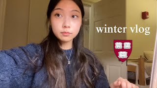 harvard college winter vlog  end of fall term studying for finals damien chazelle [upl. by Robillard]