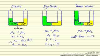 Reverse Osmosis [upl. by Beutner]