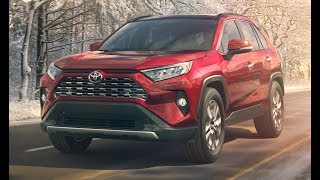 2019 Toyota RAV4  Walkaround Exterior and Interior [upl. by Adabel497]