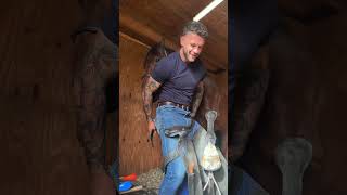 Reggie is one of a kind 😂🐴 horse funny shorts equestrian asmr [upl. by Ennail255]