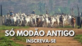 Modão das Antigas Sucessos Sertanejos só Modão de Raiz musicamodãosertanejoantigas [upl. by Ramsey]