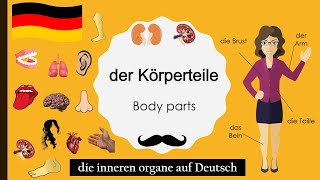 Der Körperteile  German Vocabulary A1A2  deutsche Vokabeln  Body parts [upl. by Kcirredal]