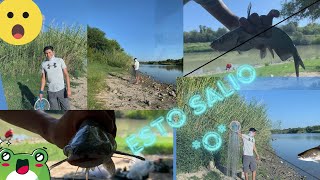 PESCANDO EN LA FRONTERA NUEVO LAREDO  RÍO BRAVO LAREDO TEXAS fishing [upl. by Esinereb283]