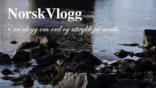 NorskVlogg 5 å regneå regne med [upl. by Ierdna792]