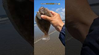 WOW i found rare unique fish trapped in beach 🥺 [upl. by Berns]