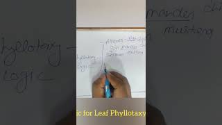 Logic for Leaf 🍀🌿 Phyllotaxy [upl. by Hiller]