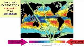 Measuring Salinity [upl. by Hacceber]