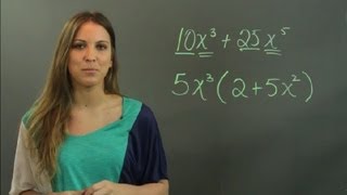 How to Factorize Using the Highest Common Factor  Math Tutoring [upl. by Enaed14]