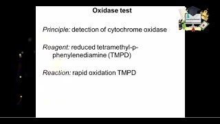 Oxidase test Handson lab [upl. by Giselle]