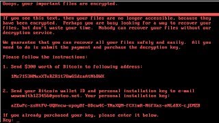 COMO EJECUTAR UNA MUESTRA DEL RANSOMWARE PETWRAP  PETYA NOTPETYA EN WINDOWS [upl. by Michon869]