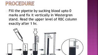 ESR Erythrocyte Sedimentation Rate [upl. by Nork]