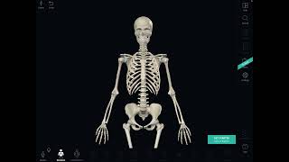 طريقة تفعيل تطبيق complete anatomy بشكل مجاني [upl. by Snej]