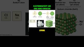 Why does Salt NaCL form with sodium and chloride Hint Electronegativity [upl. by Etnauj808]