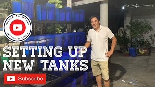 HOT TO SETUP OF NEW TANKS FOR GUPPIES ON LOW BUDGET  PAINTING MY GUPPY TANKS HD  V0506 [upl. by Inva]